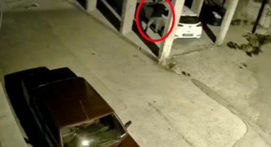 Hırsıza alarm engeli