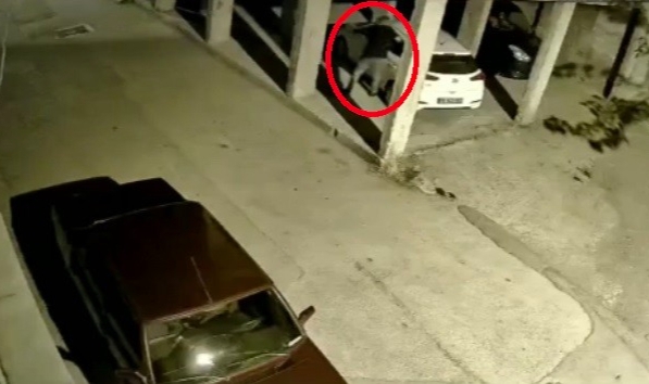 Hırsıza alarm engeli