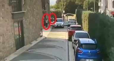 Köpeği ezdi aracını park edip gitti