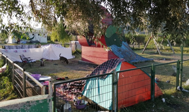 Kumsaz bunu hak etmiyor!