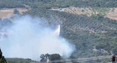 Mudanya'da korkutan orman yangını