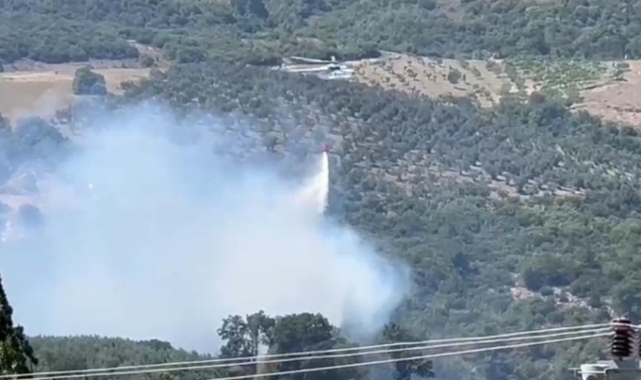 Mudanya'da korkutan orman yangını