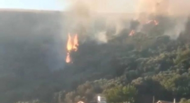 Mudanya'da korkutan orman yangını