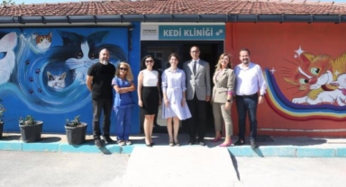 Nilüfer’de sokak kedilerine donanımlı klinik