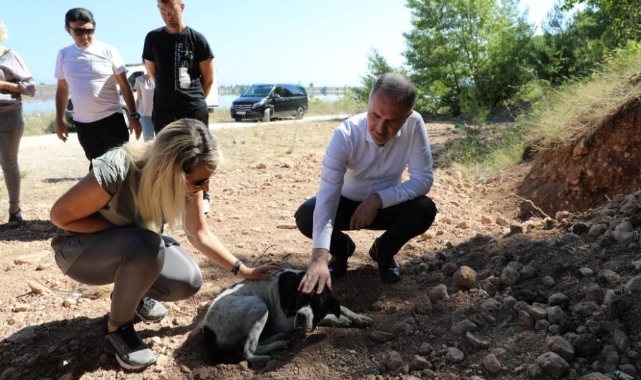 Sokak canlıları için doğal yaşam alanları oluşturuldu