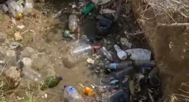 Su kuyusuna düşen 2 köpek itfaiye ekiplerince kurtarıldı