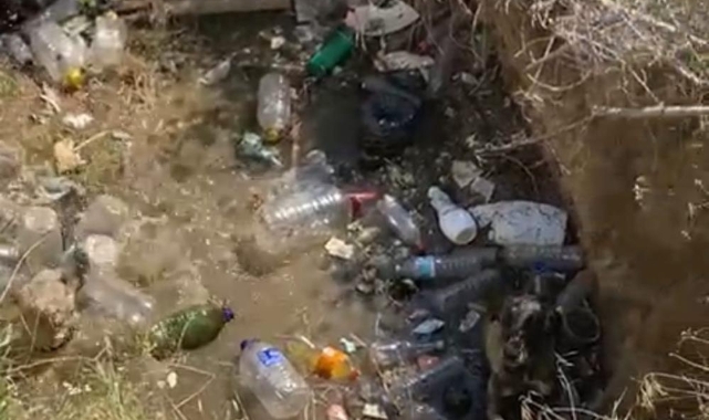 Su kuyusuna düşen 2 köpek itfaiye ekiplerince kurtarıldı
