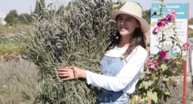 Tıbbi-Aromatik Bitki İşleme Tesisi Projesi’ne BEBKA’dan hibe