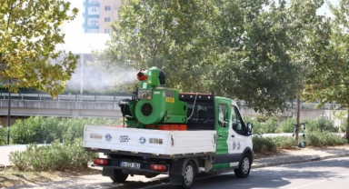 Bursa'da sinekle kesintisiz mücadele