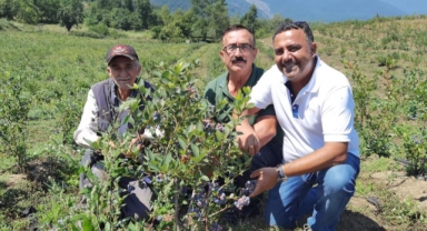 Bursa'dan Hong Kong'a yaban mersini ihracatı