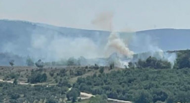 Çalılık alanda korkutan yangın