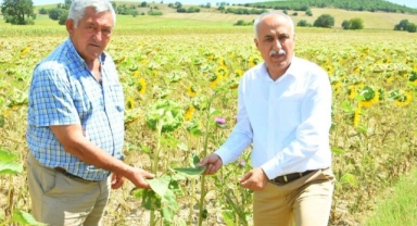 Çiftçiye sıfır faizli kredi üreticilere nefes aldıracak