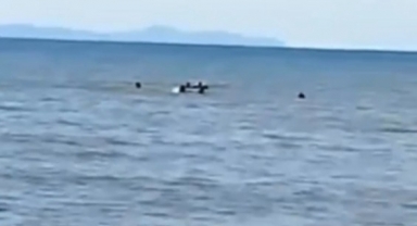 Eşkel sahilde can pazarı