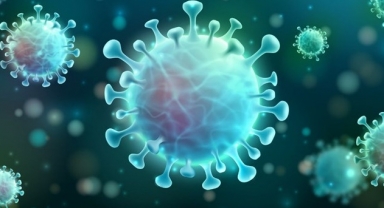 Haftalık Covid-19 verileri açıklandı