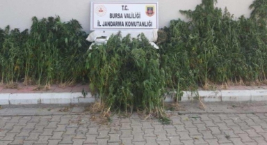 Jandarma zehir tacirlerine göz açtırmadı