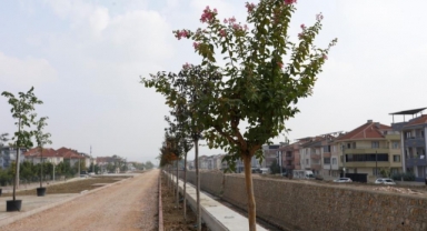 Kanal İnegöl yeşilleniyor