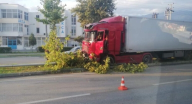 Kontrolden çıkan tırı, ağaçlar durdurdu