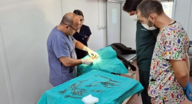 Osmangazi, binlerce hayvana şifa oldu
