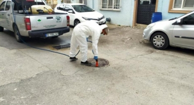 Osmangazi’de ilaçlama çalışmaları sürüyor