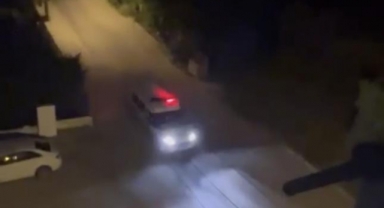 Polis mahalleye inen domuzu sirenle kovaladı