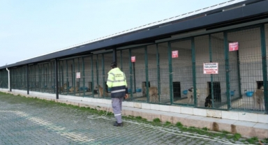 Sokak hayvanlarının dostu, İnegöl Belediyesi