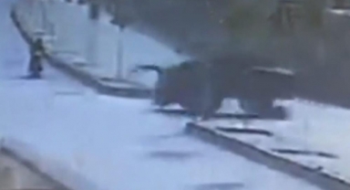 Traktör motosikletlinin üzerinden geçti; 1 yaralı