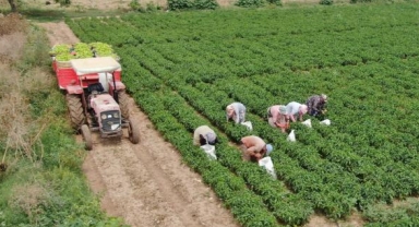 Çiftçi ürettiğini komisyonsuz tüketiciye ulaştırıyor