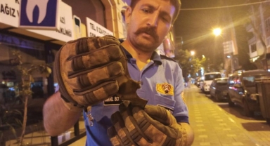 Eve giren yarasayı itfaiye ekipleri çıkardı