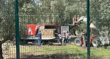 İznik'te Roma dönemine ait lahit bulundu