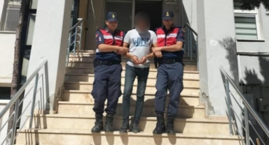 Kenevir tarlasına jandarma baskını