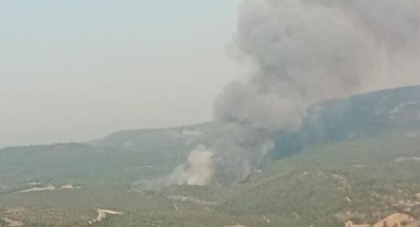 Orhaneli ilçesinde orman yangını