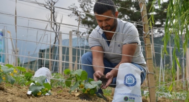 Yıldırım'da atıklar çöpe gitmiyor gübreye dönüşüyor