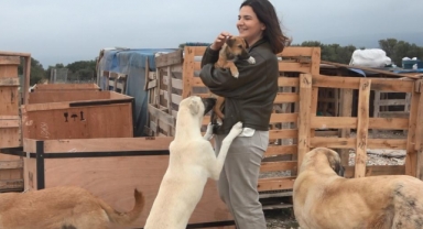 16 gönüllü barınakta 300 sokak hayvanına bakıyor