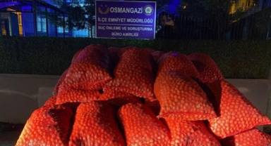 Bursa'da 3 tonluk ceviz dolandırıcılığı