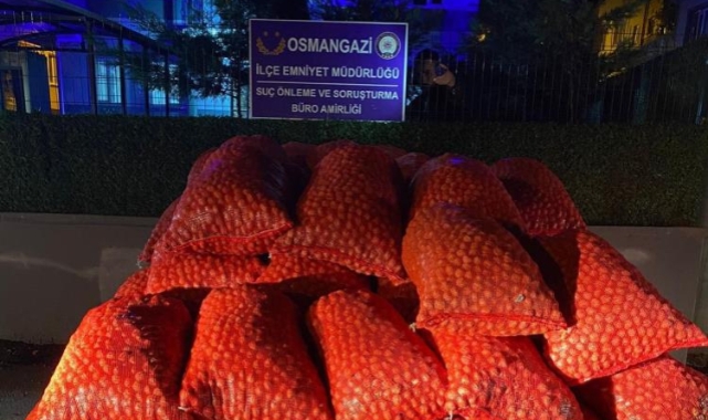 Bursa'da 3 tonluk ceviz dolandırıcılığı