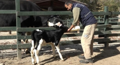 Bursa Zoo’nun yeni üyesinin ismini hayvanseverler koydu