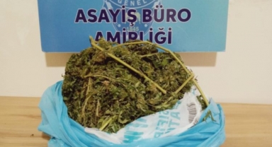 Evinde uyuşturucu bulunan kadın gözaltına alındı