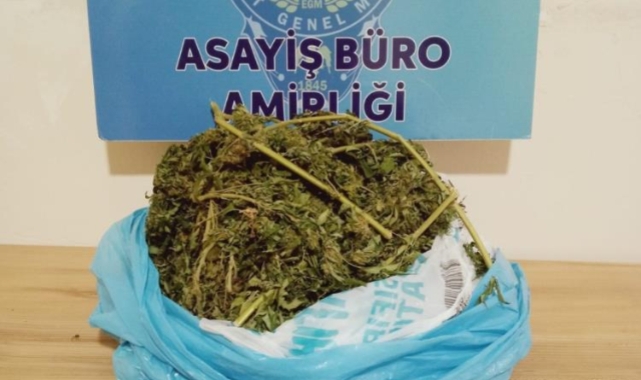 Evinde uyuşturucu bulunan kadın gözaltına alındı