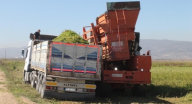 Makine ile günde 100 ton biber hasadı yapıldı