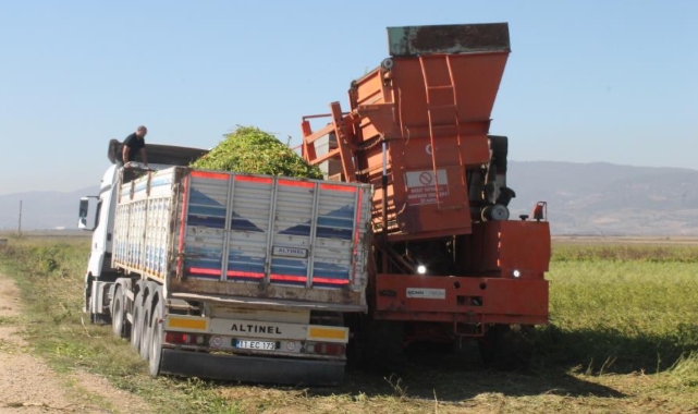 Makine ile günde 100 ton biber hasadı yapıldı