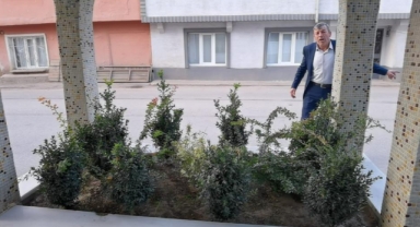 O mezar aşkından ölen kıza mı ait?