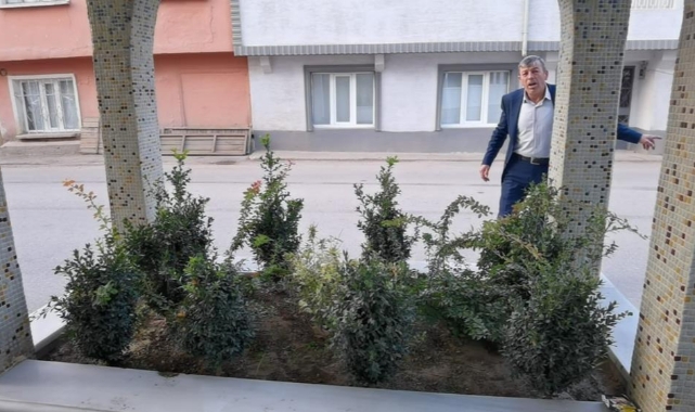 O mezar aşkından ölen kıza mı ait?