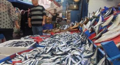 Sardalya 20 liraya düştü vatandaş balıkçılara koştu