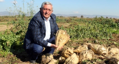 Şeker pancarında kalite seferberliği