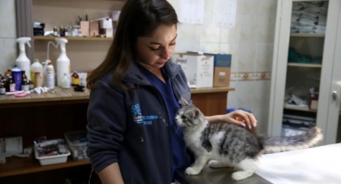 Tedavi gören can dostlara ‘Koruyucu aileler’ aranıyor