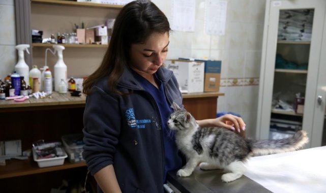 Tedavi gören can dostlara ‘Koruyucu aileler’ aranıyor