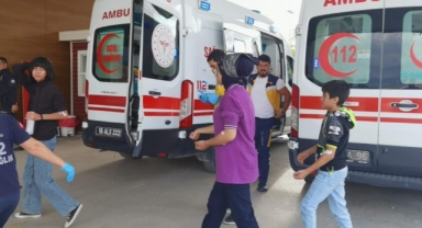 Teneffüste 15 öğrenciyi arı soktu okula 1 gün ara verildi