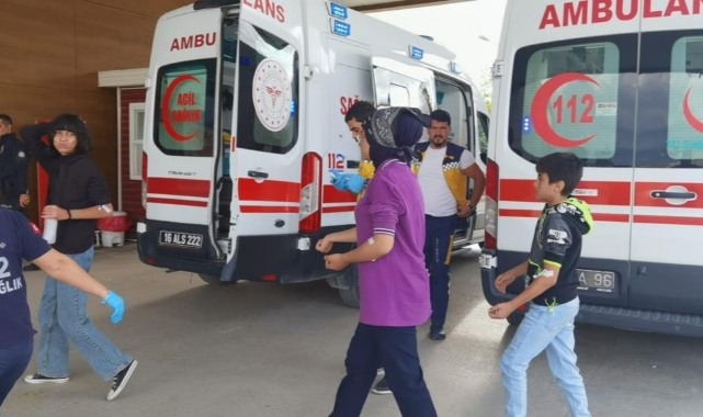 Teneffüste 15 öğrenciyi arı soktu okula 1 gün ara verildi