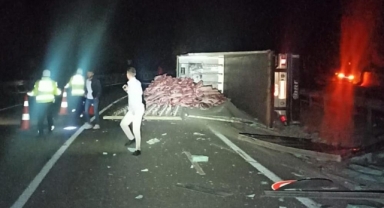 Tır devrildi, tonlarca karkas et yola saçıldı