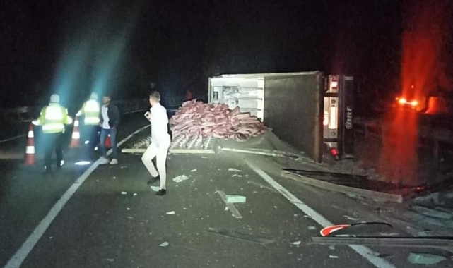 Tır devrildi, tonlarca karkas et yola saçıldı
